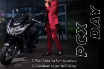 PCX.jpg